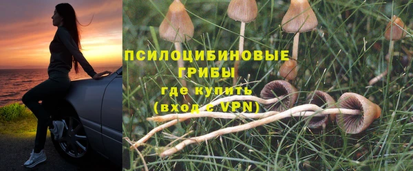 спиды Алзамай