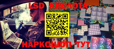 прущие грибы Норильск