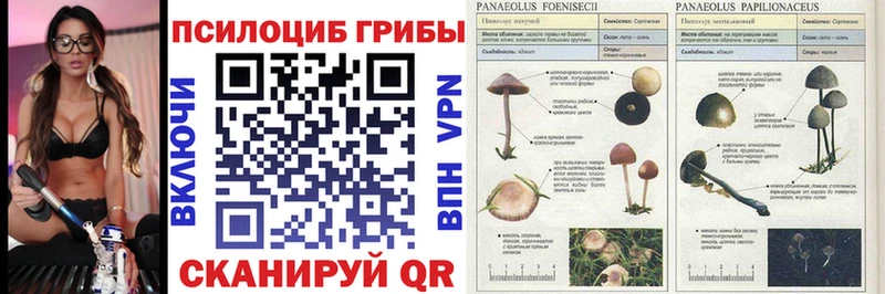 Галлюциногенные грибы мухоморы  Подольск 