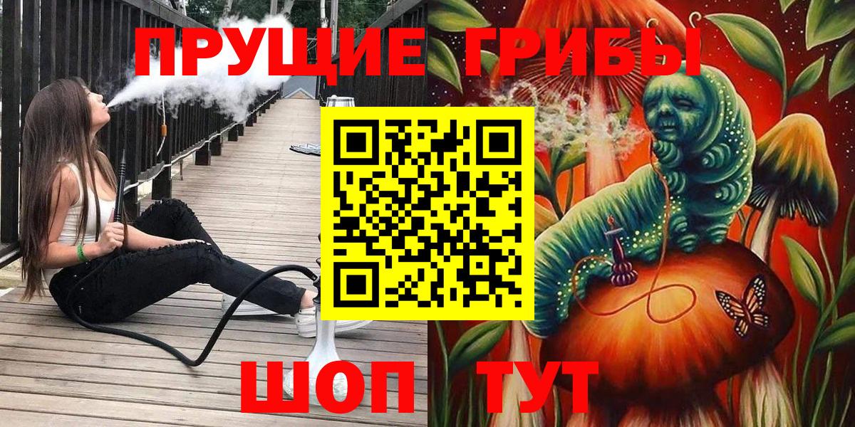 дарнет шоп  Вход с VPN  Подольск  Псилоцибиновые грибы Psilocybine cubensis 